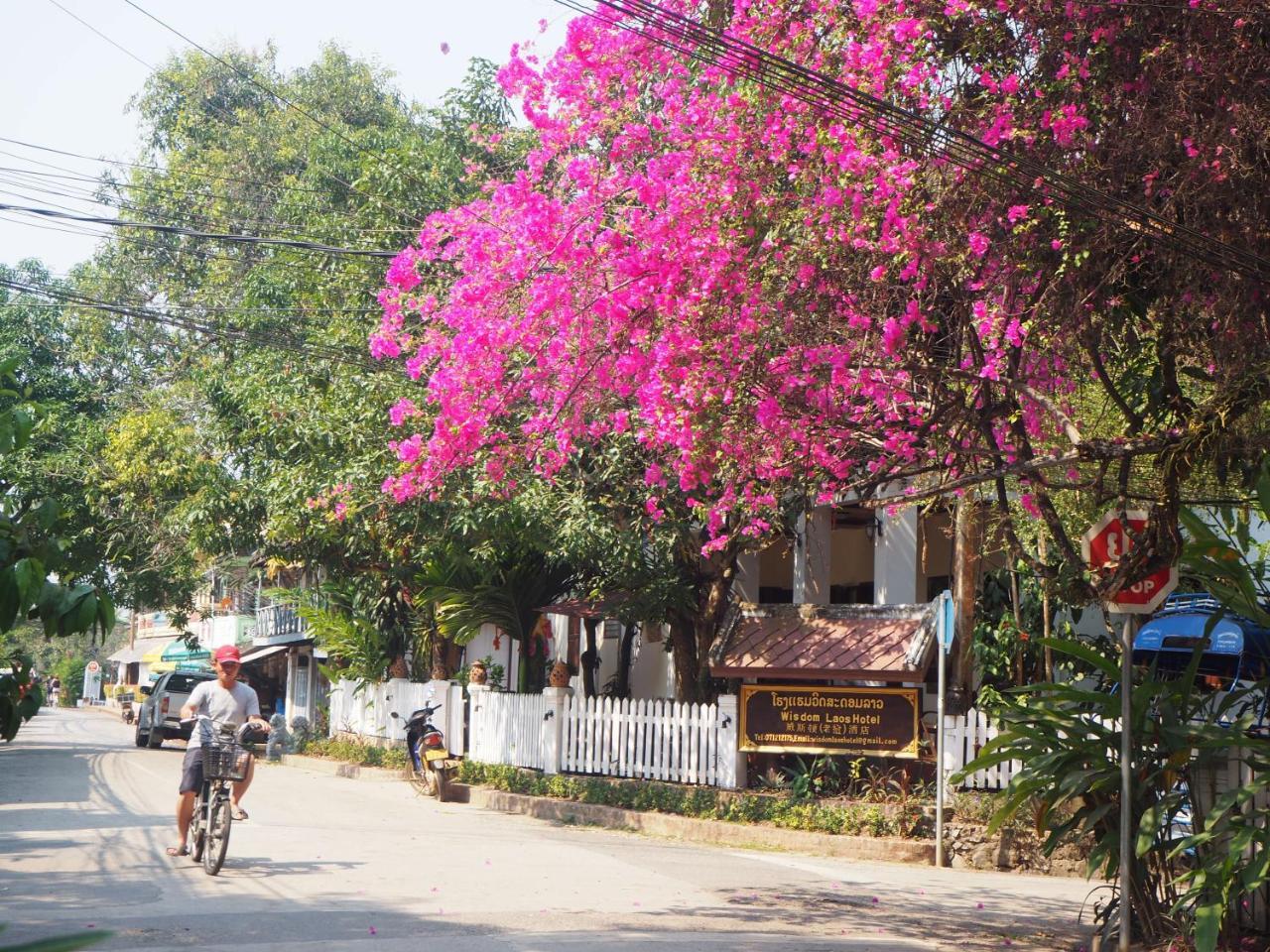 Wisdom laos hotel Luang Prabang Exterior foto